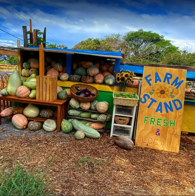 Living Earth Systems Farm Stand