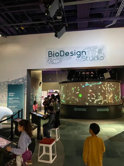 The Tech Interactive Gift Shop