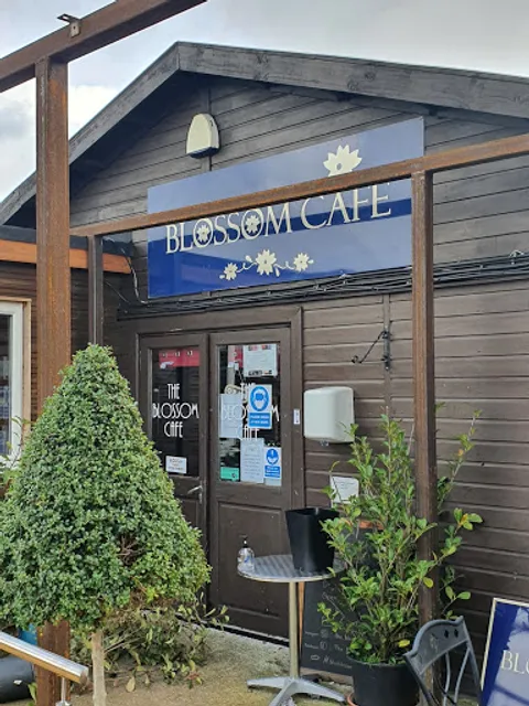 Blossom Cafe