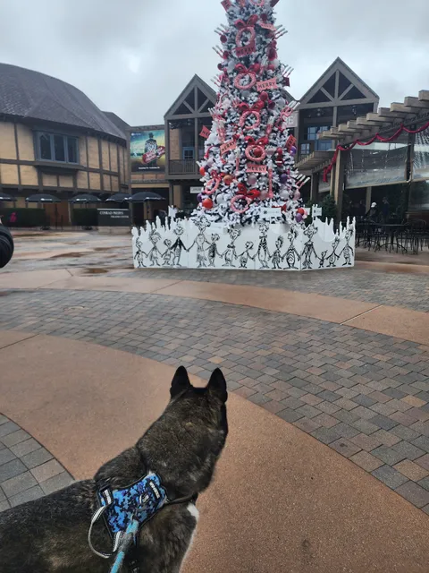 Sheryl and Harvey White Theatre