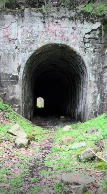 North bend rail trail tunnel #3