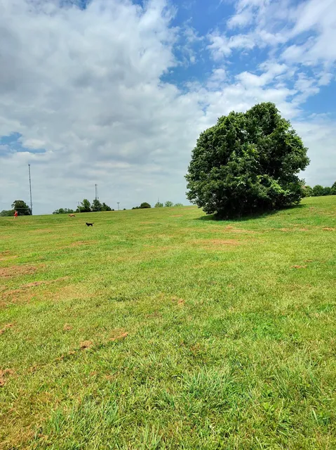 Shelby Farms Dog Park