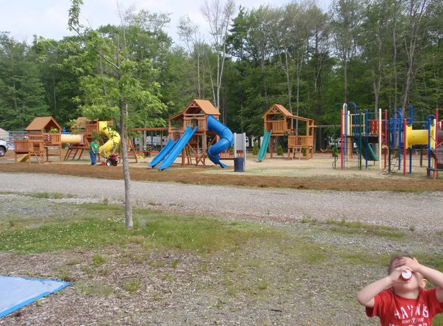 Black Bear Campground