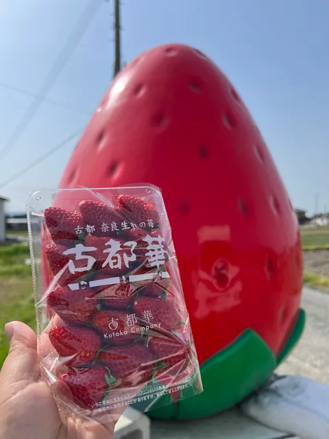 Hagiwara Strawberry Farm