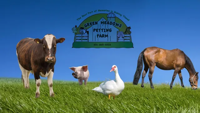 Green Meadows Petting Farm