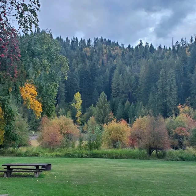 Shadowy Saint Joe Campground
