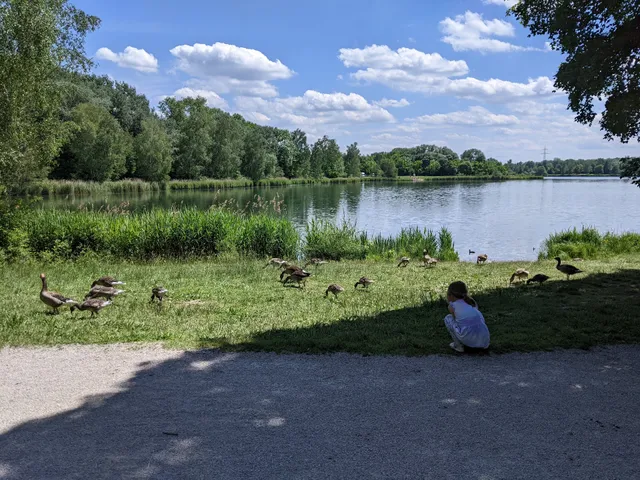 Wild Park at the lake