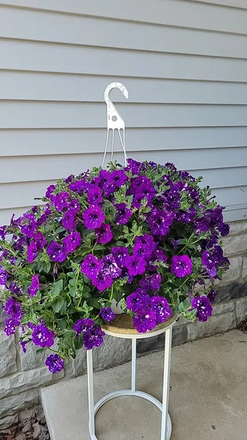 Randy's Farm Market-Greenhouse