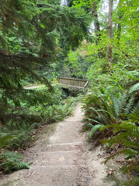 McSorley Creek Loop Trail