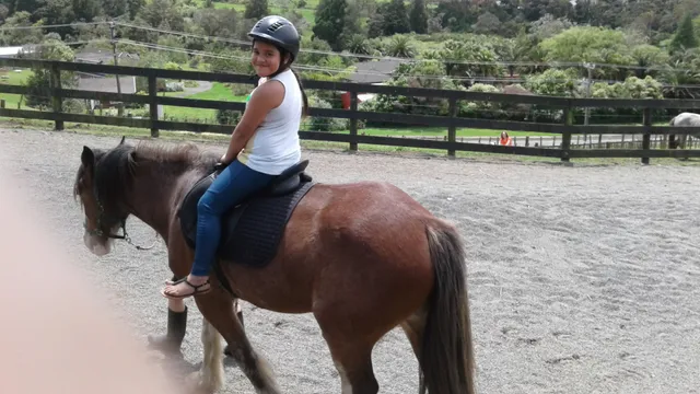 Opanuku Stream Cycle And Walkway Kensington Henderson Valley Link