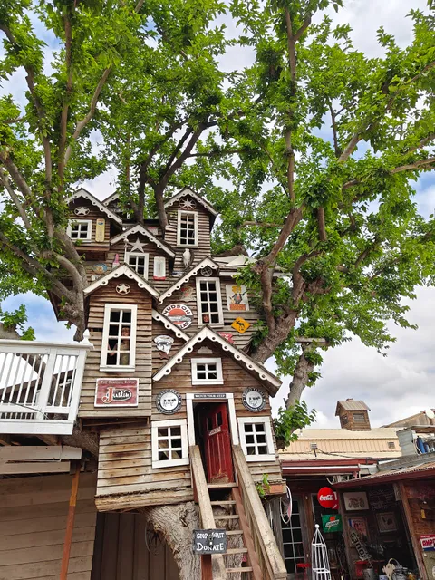 Bravo Farms Petting Zoo