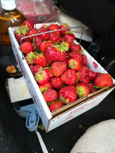 McNulty's fruit and vegetable stand
