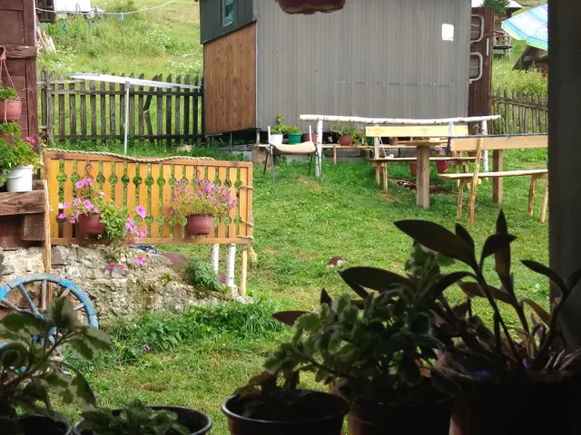 Etno domacinstvo bilja