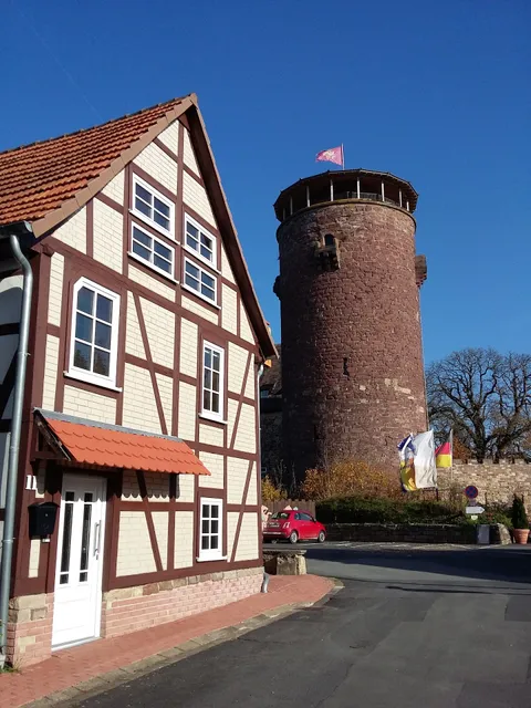 Ferienhaus Froschkönig