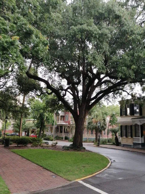 Downtown Savannah Properties