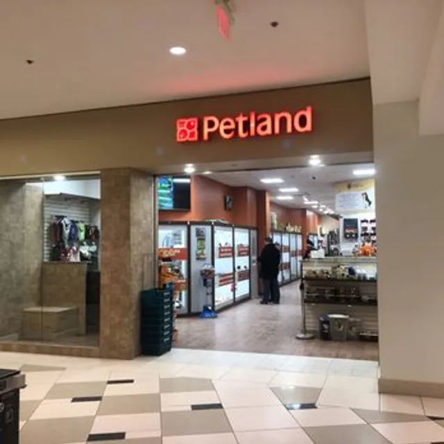 Petland Novi