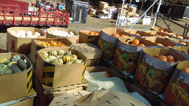 Clancy's Pumpkins & Christmas Trees