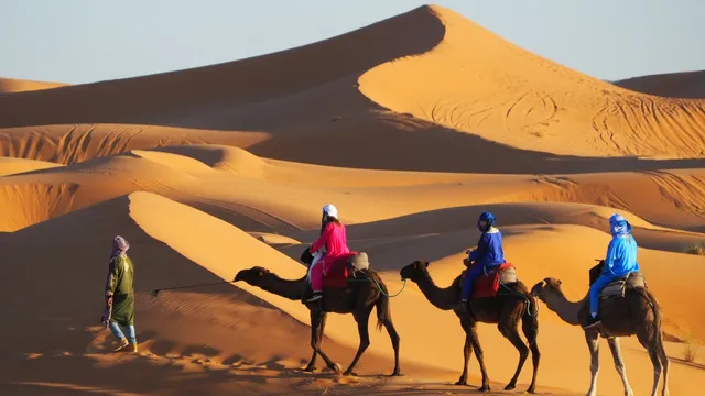 Love Morocco Desert