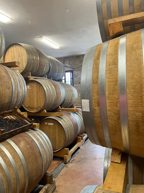 Taste Verona wine tours