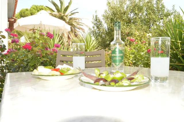 Vicky Studios ,Lesvos