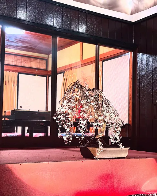 Classic Japanese Restaurant HAKUMAI