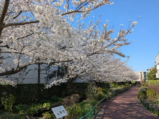 Meguro River Green Belt