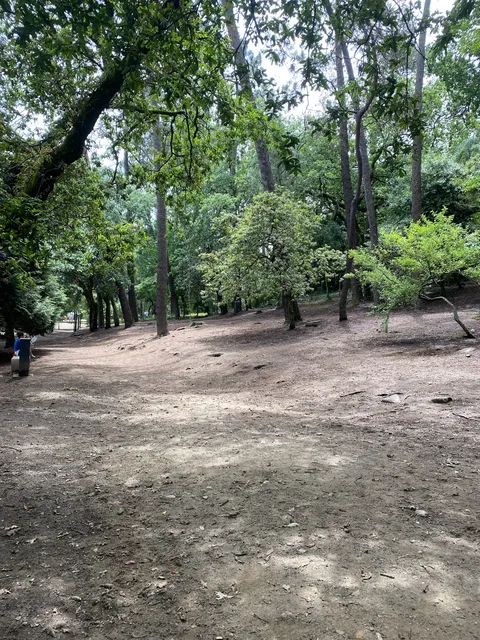 Parque Canino da Quinta do Covelo