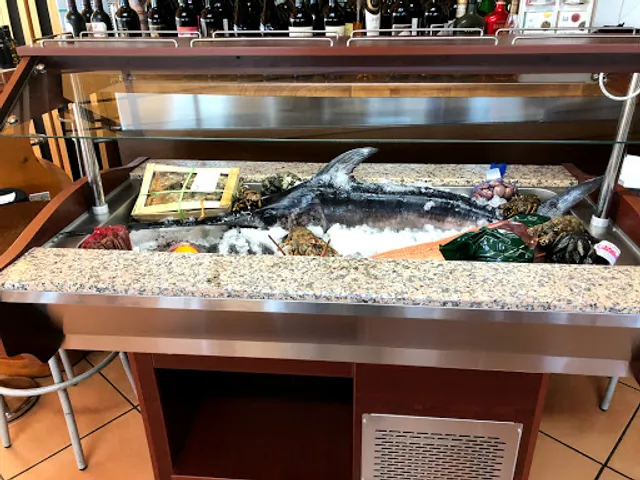 Zauberblume - Laura Nicosia