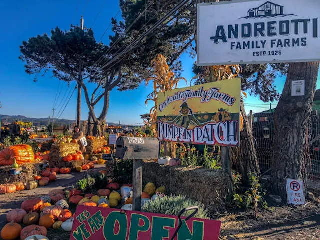 Andreotti Family Farms Pumpkin Patch, Sunflowers & Corn Maze