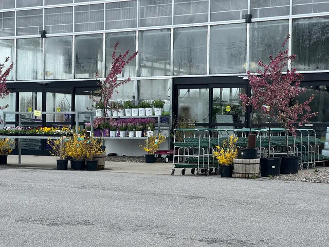 R Jones Nursery & Garden Center