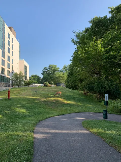 Naval Support Activity Bethesda