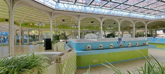 Thermes Callou Vichy