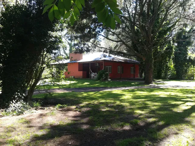 Between Ombúes and Tilos