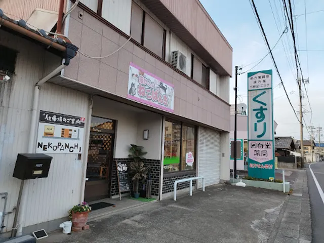 Cat Cafe Nekopanchi