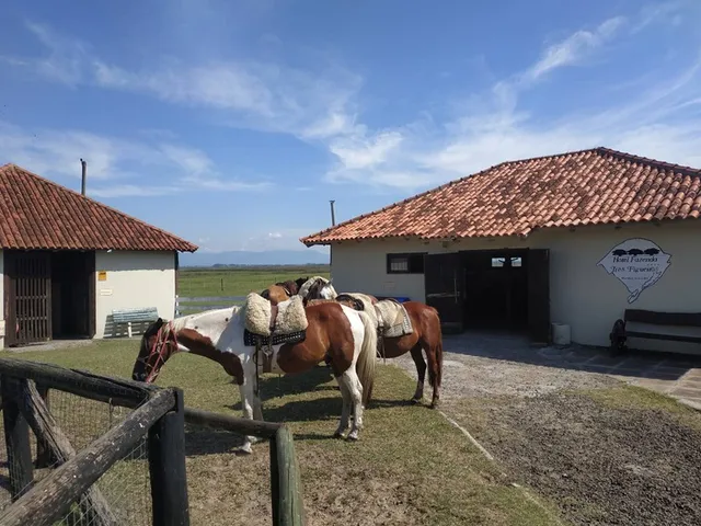 Hotel Fazenda Figueiras