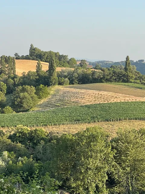 GITE /CAMPING/ FERME LES PINS