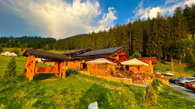 Bucovenian Fragrances