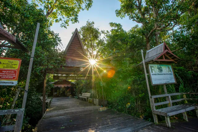 Rimba Orangutan Eco Lodge
