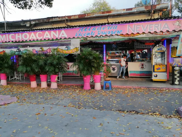 Paletería "La Michoacana de la Vicente Guerrero"