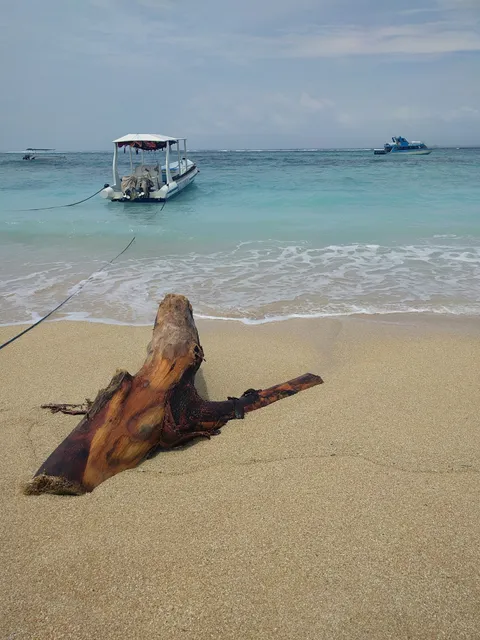 Star Two Thousand Bungalow