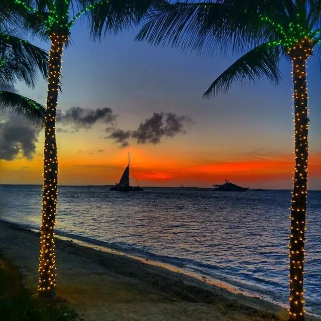 low tide charter LLC