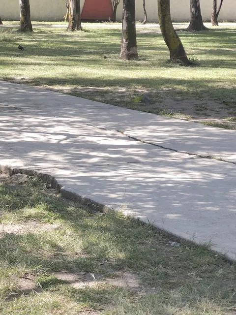 Unidad Habitacional Las Armas Park