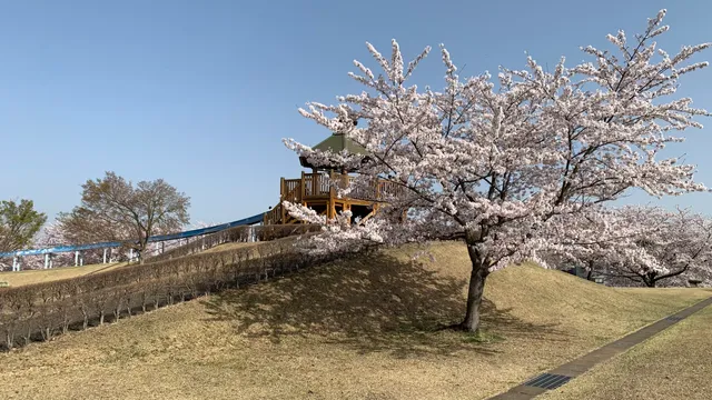 Daiichi Sankyo Nakasato Park