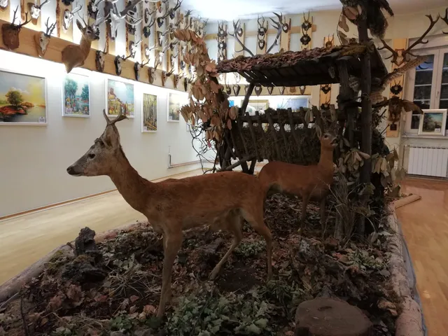 Lovački muzej HLS-a (Hunting Museum)