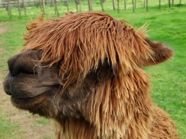 Bullswool Heritage Farm