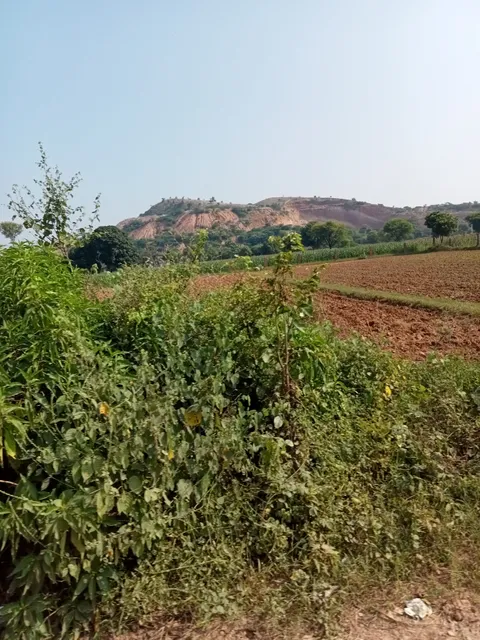 Kailadevi Wildlife Sanctuary