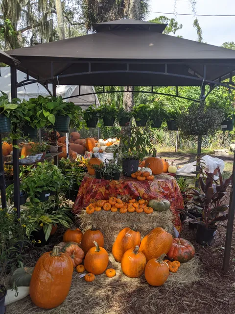 Natalia’s Garden Center