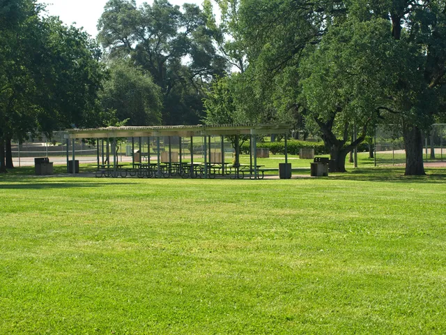 Hamilton Street Park