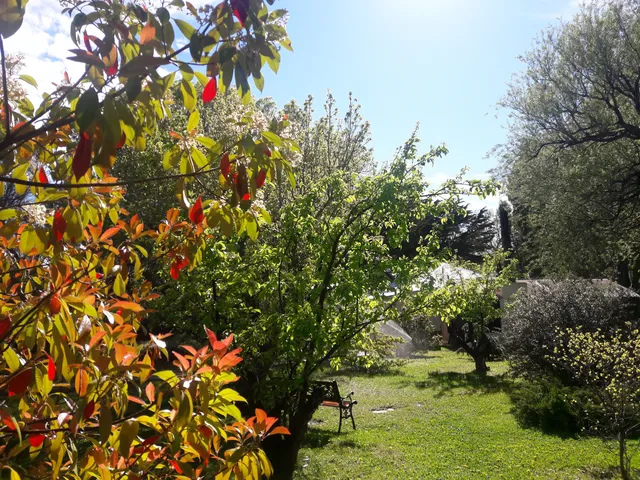 Comandante Luis Piedrabuena