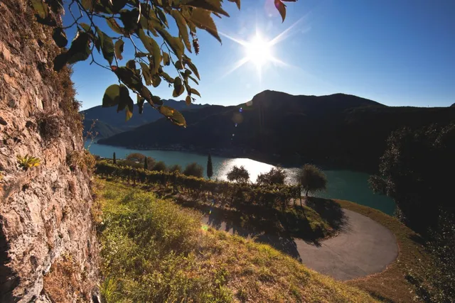 Tenuta Castello di Morcote